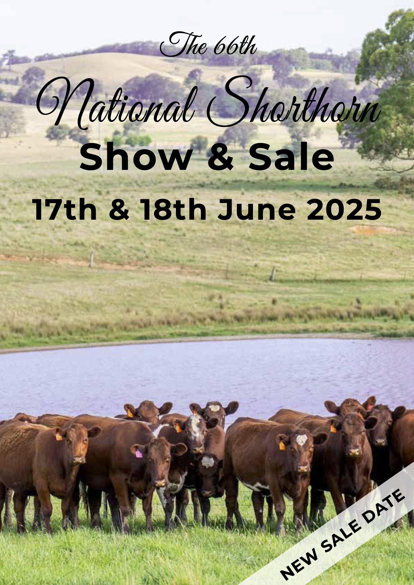 Shorthorn National Show & Sale 2025 Catalogue for web